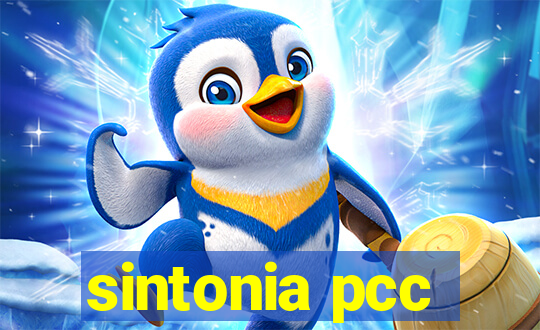 sintonia pcc